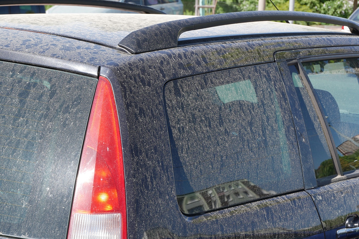 A close-up view of a dark-colored car covered in a thick layer of dust, especially visible on the rear window, roof, and side panels. Sunlight highlights the dirt and grime on the vehicle's surface.